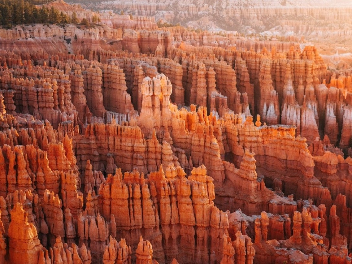 Las Vegas Bryce Canyon & Zion National Parks Full-Day Discovery Tour