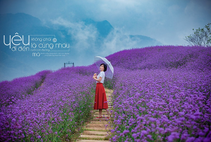 Sapa Instagram Tour: Unmissable Beauty by Motorbike or Car