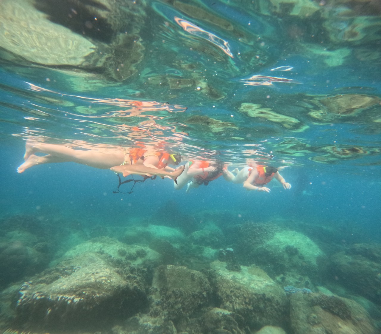 濤島：隱密海灣與南園島浮潛之旅