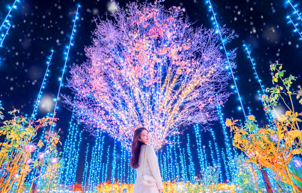 Japan's Top 3 Illumination Shows: Flower Garden of Light & Ibaraki Lucky Turtle & Nakaminato Fish Market & Oarai Isosaki Shrine One-Day Tour