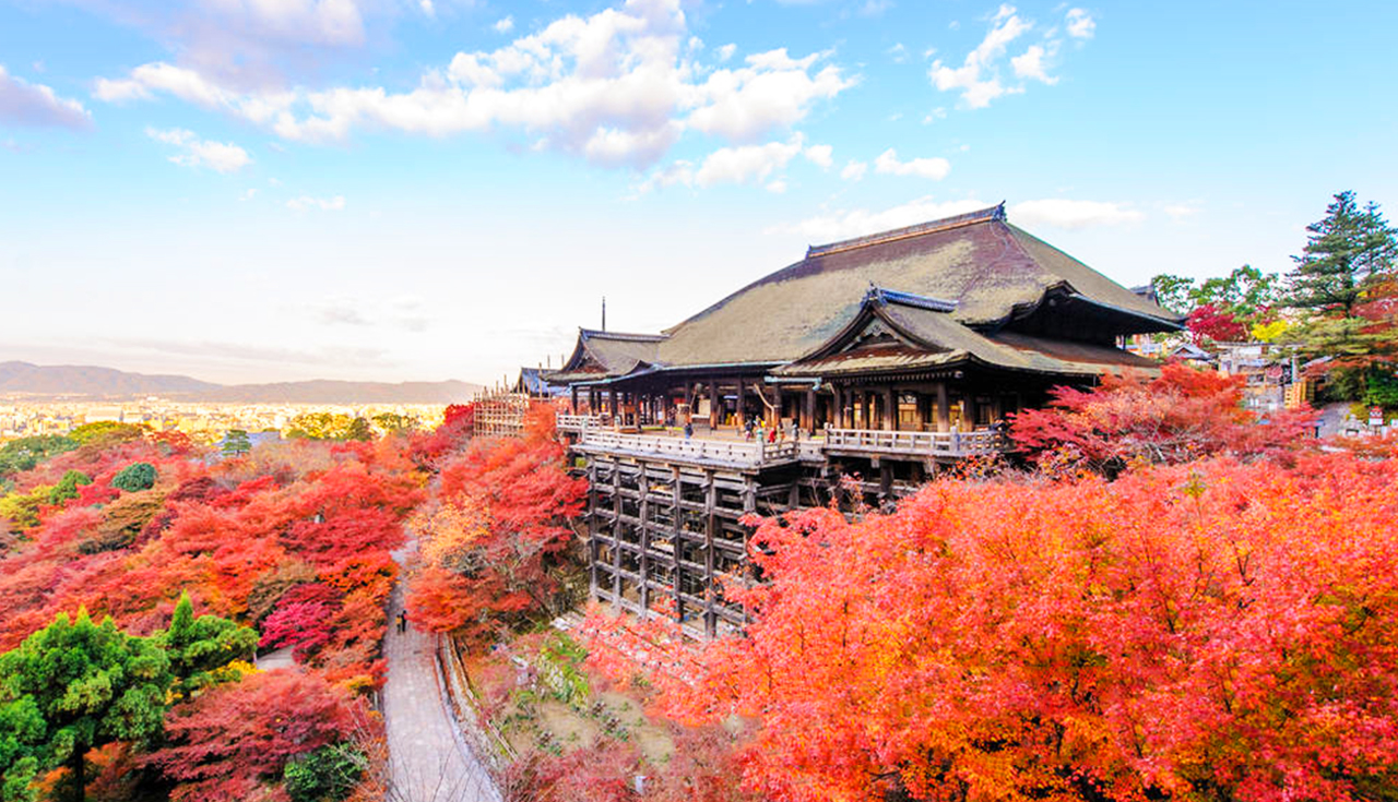 京都+奈良+清水寺區域-和服體驗+八坂神社+伏見稻荷大社+奈良公園-看鹿和楓葉的奈良公園+東大寺