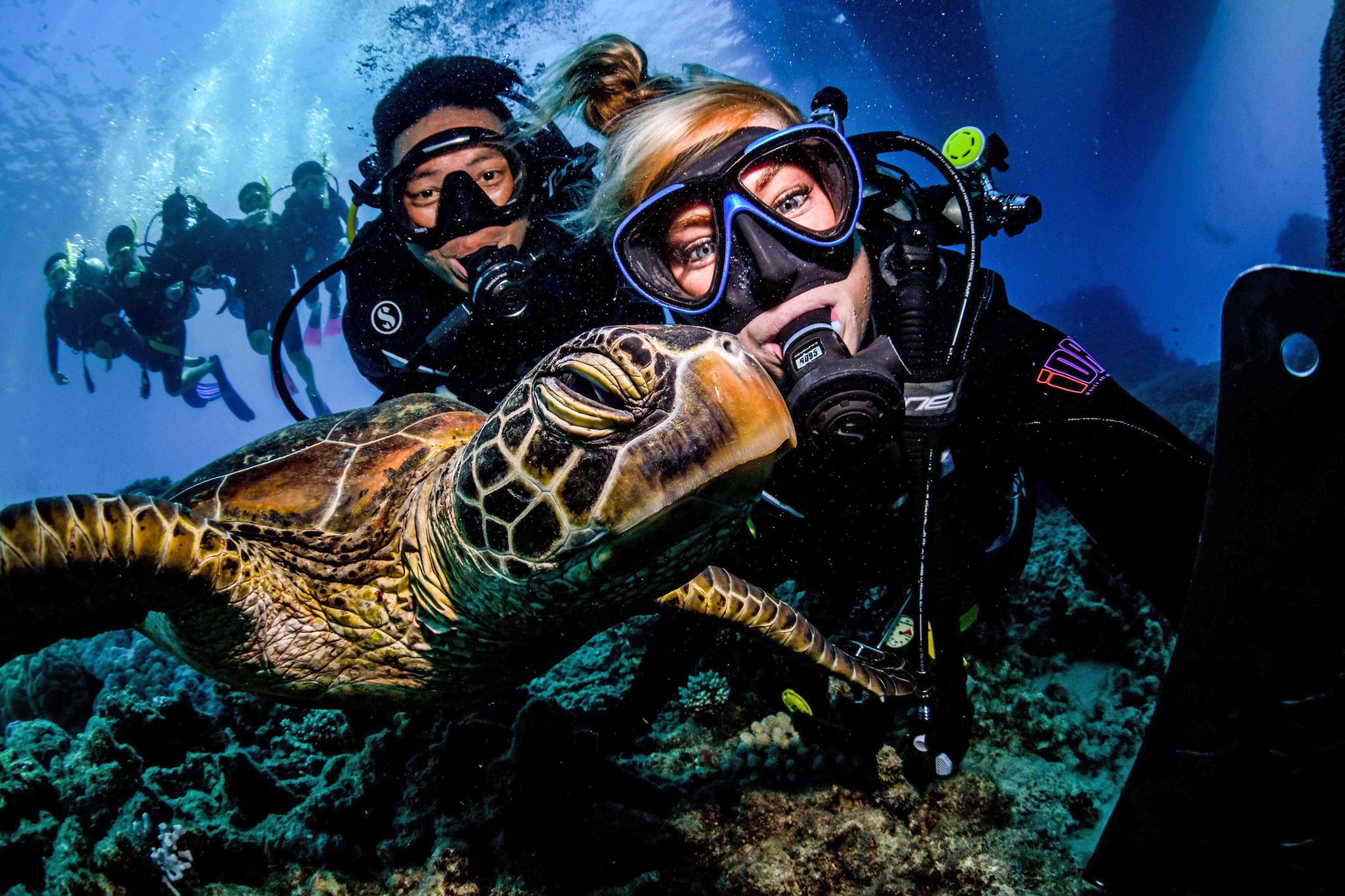 4 Day PADI Open Water Course in Great Barrier Reef