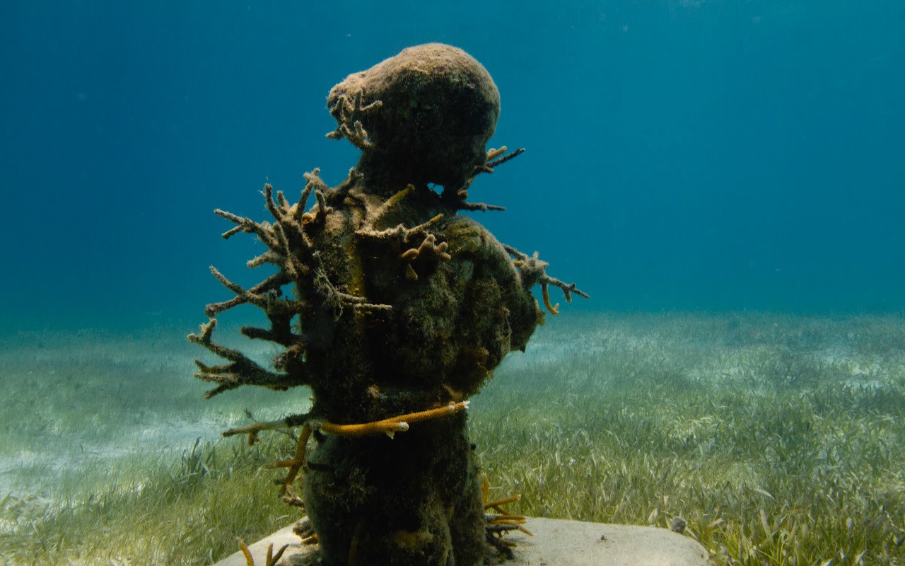 MUSA Underwater Art Museum Snorkeling & Glass-Bottom Boat Experience