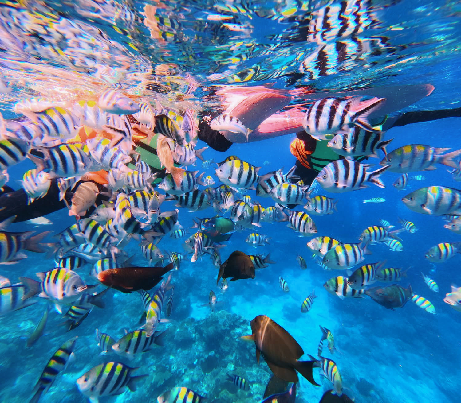 Зелёный остров: Сноркелинг у Шилан/Чайкоу, исследование секретной Голубой пещеры, ночной тур