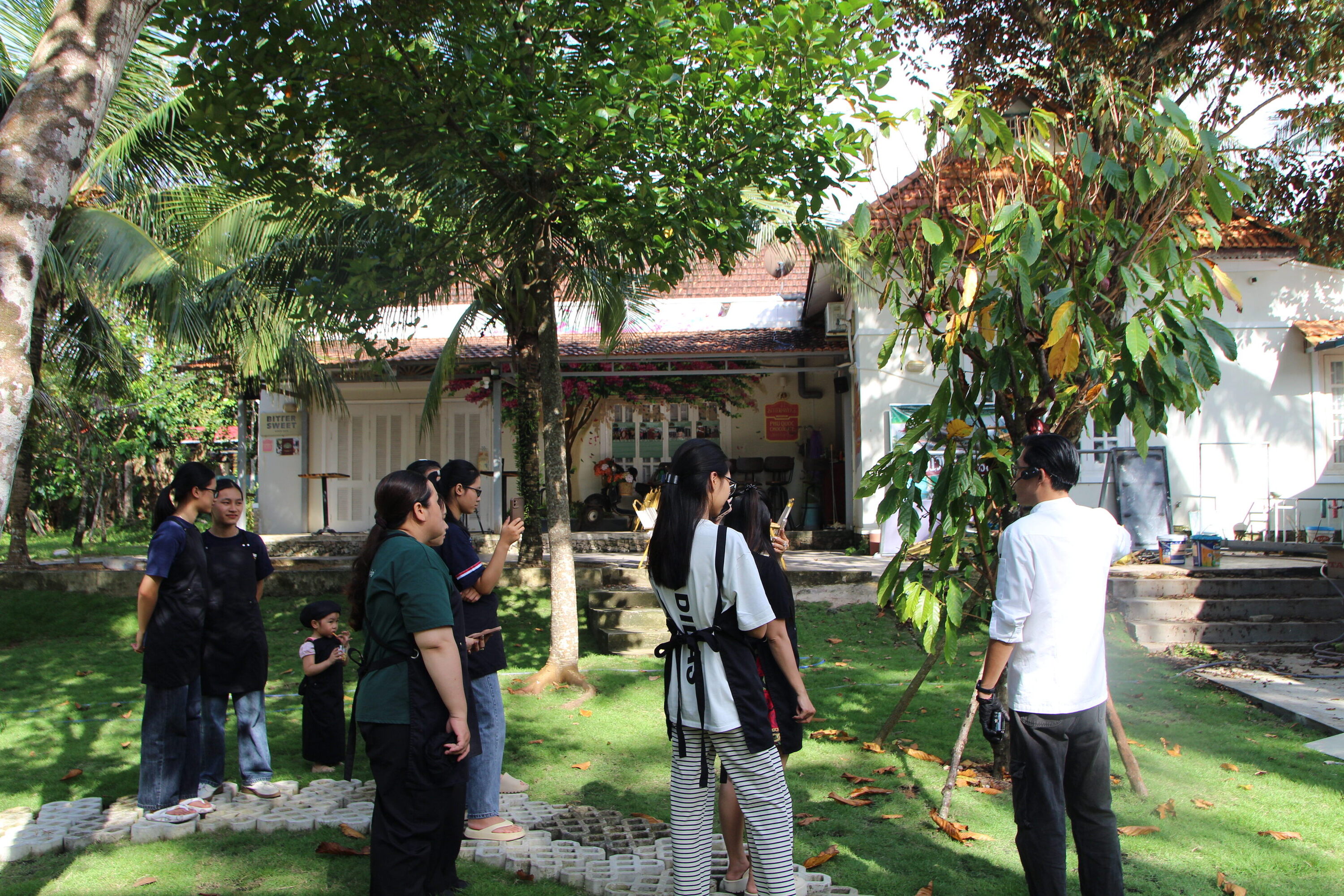 Bittersweet Chocolate Factory Visit & Making Chocolate Workshop