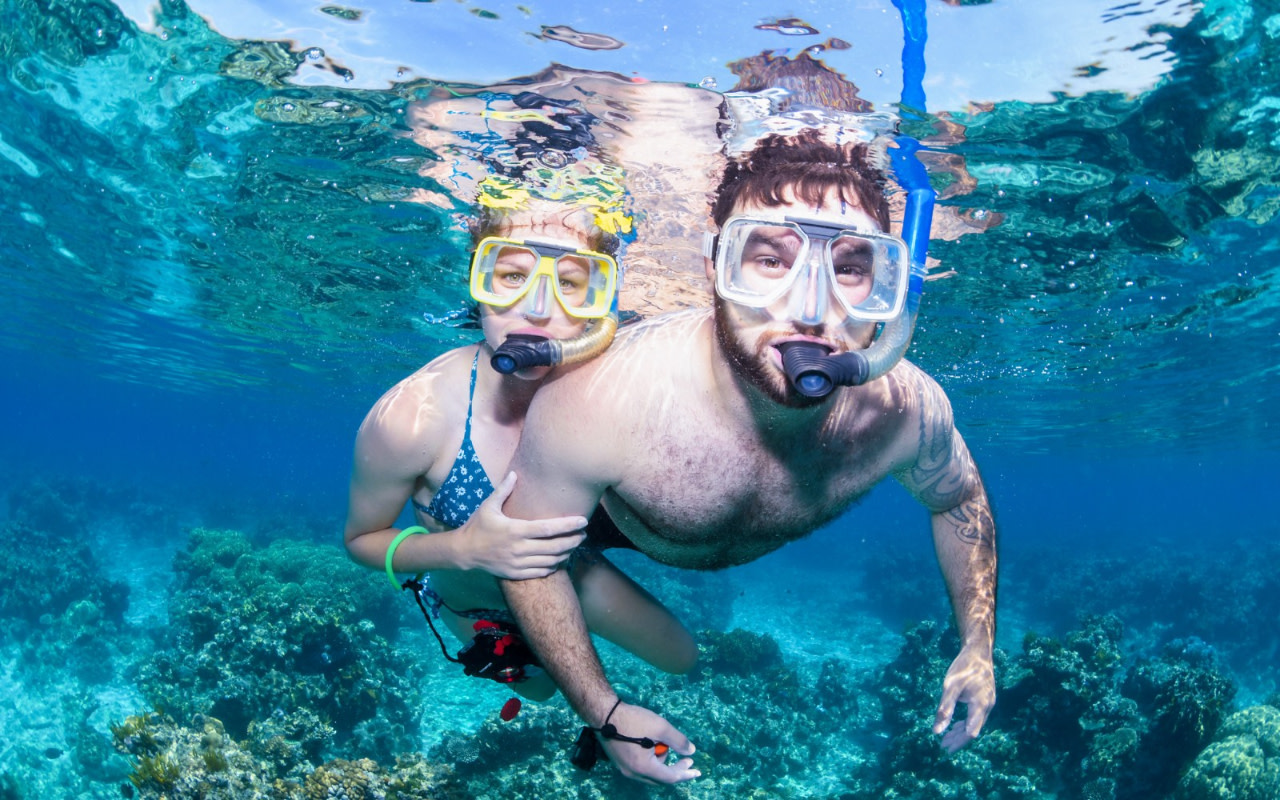 Half-Day Outer Reef Snorkel Tour from Cairns