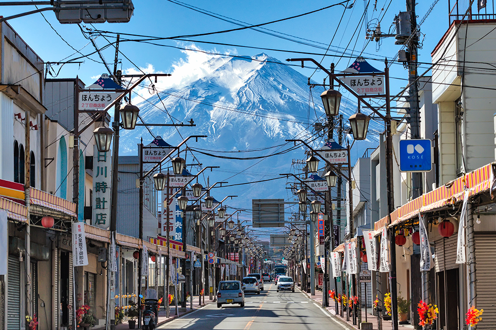 富士山網紅打卡景點&河口湖四季花卉探秘之旅（贈送日式草餅）｜東京/新宿出
