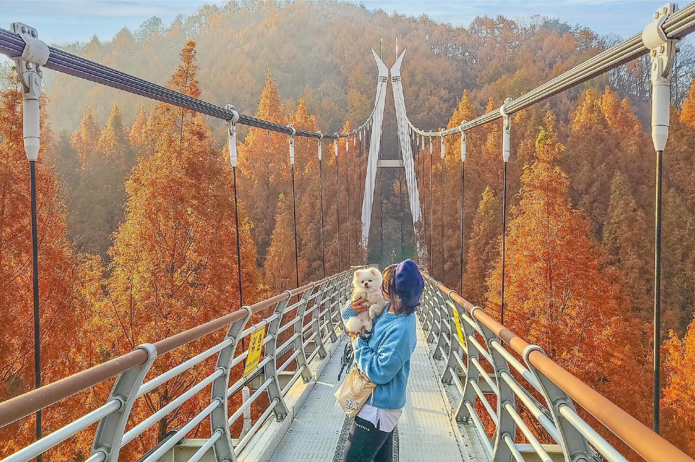 全州韓屋村＆季節性熱門景點一日遊