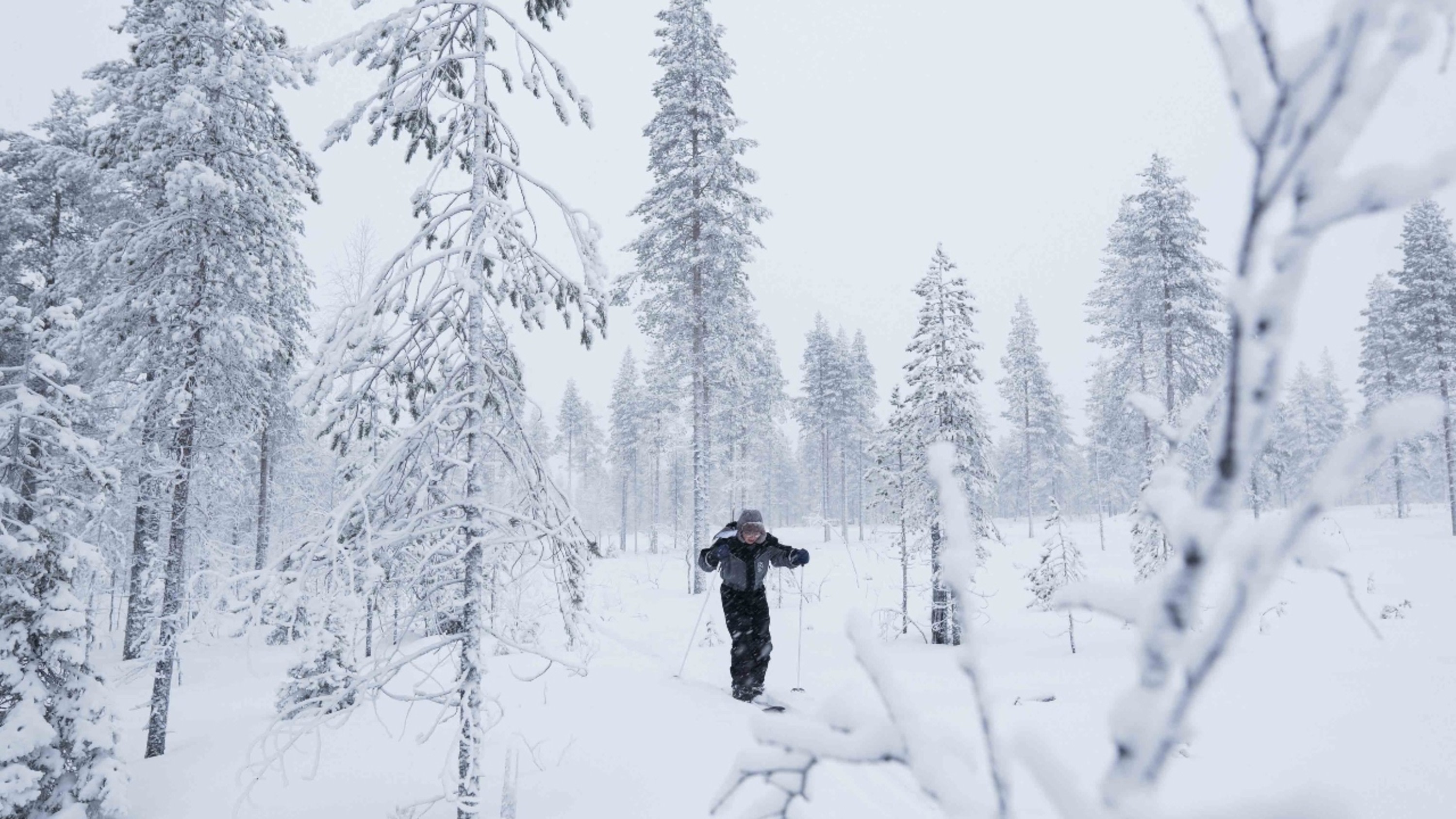 Backcountry half-day skiing and photography tour in Levi