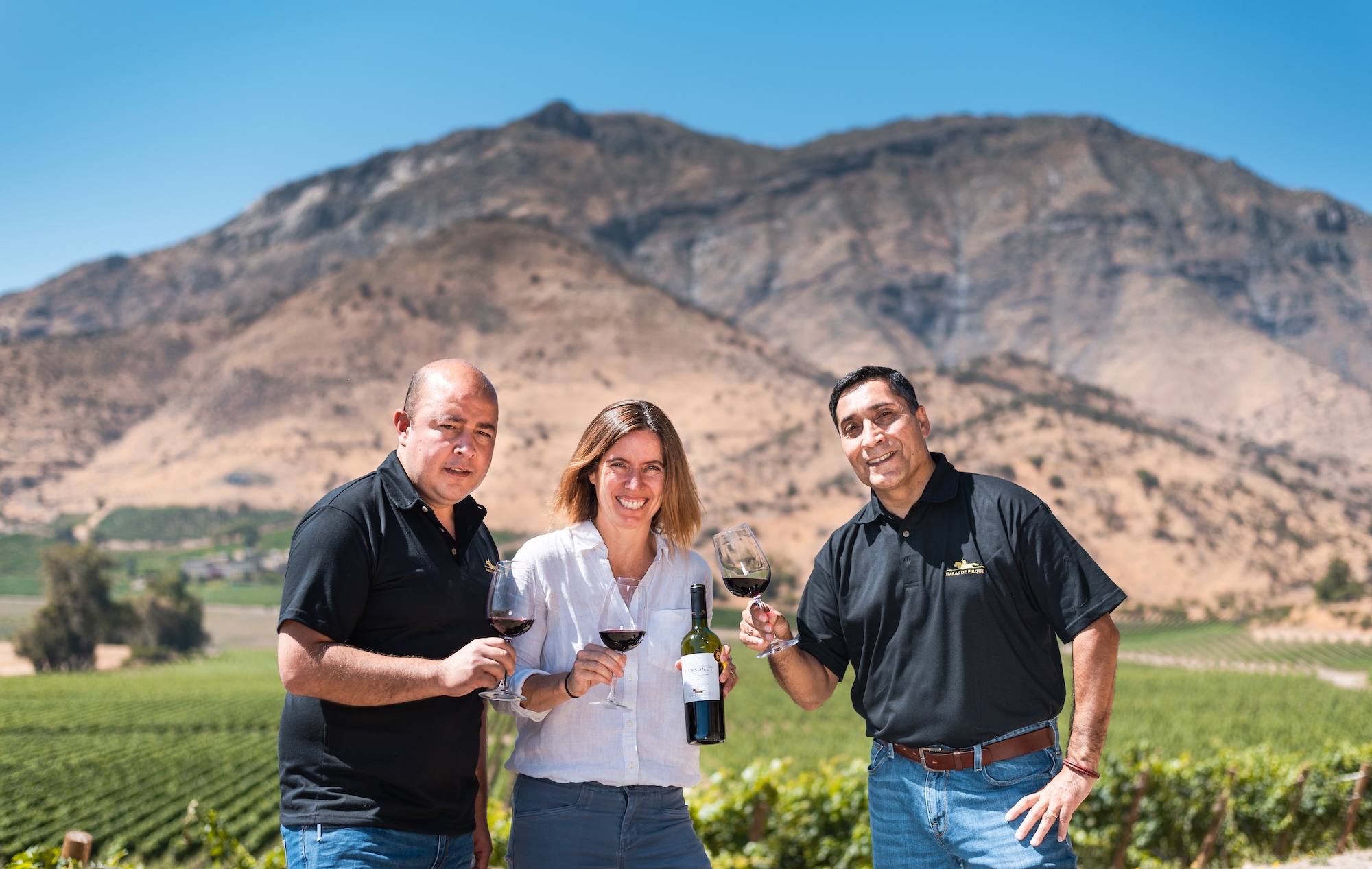 Haras de Pirque Vineyard Tour and Wine Tastings