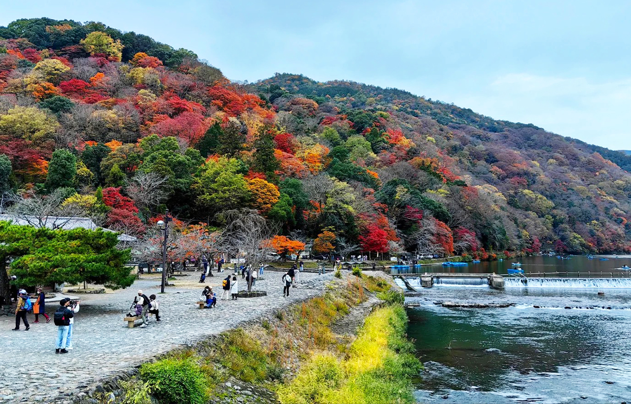 京都奈良嵐山一日遊|奈良公園喂小鹿 伏見稻荷千本鳥居 嵐山竹林小徑（大阪出發， 京都或大阪下車）