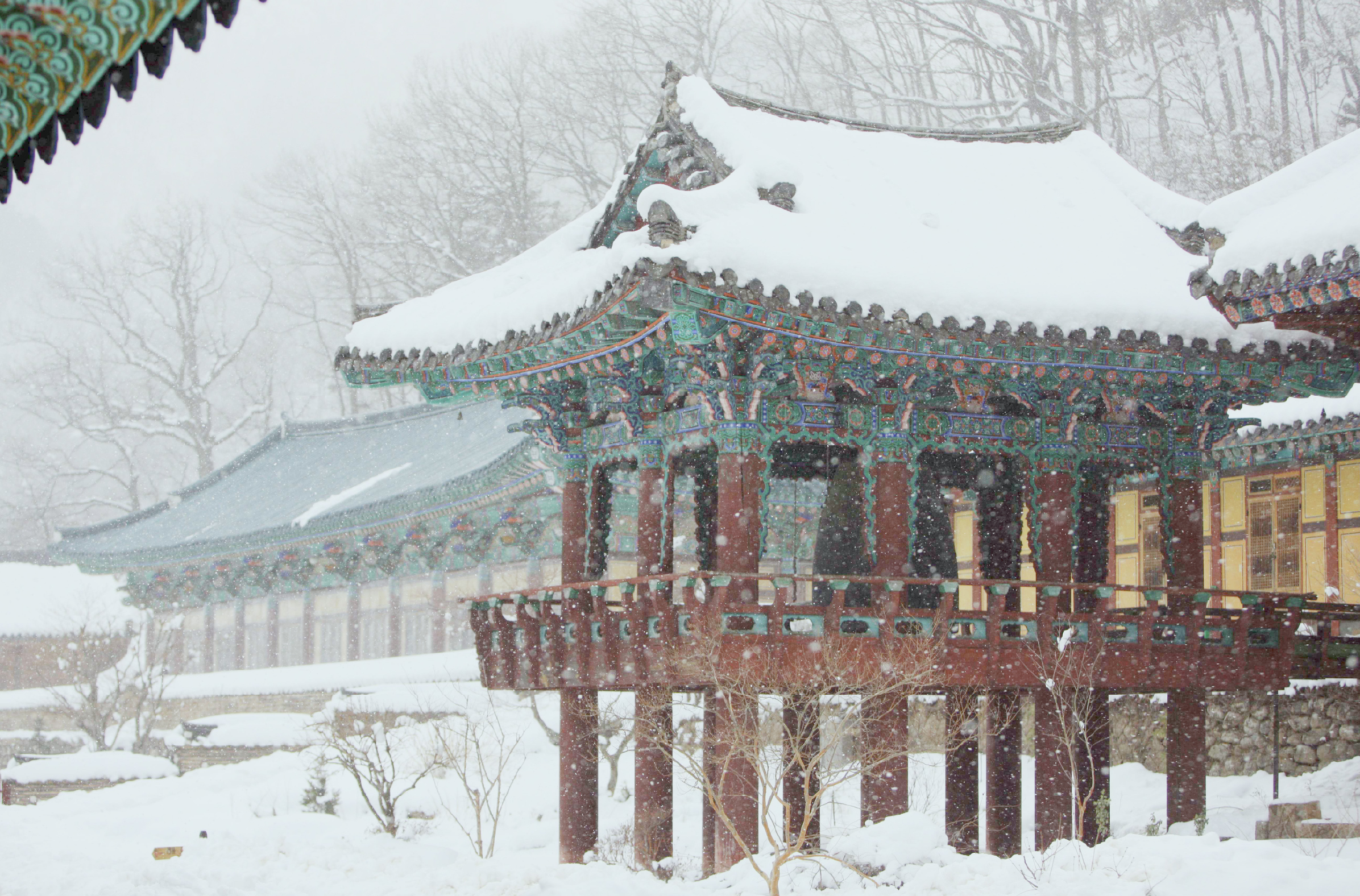 首爾雪嶽山 & Surfy海灘一日遊