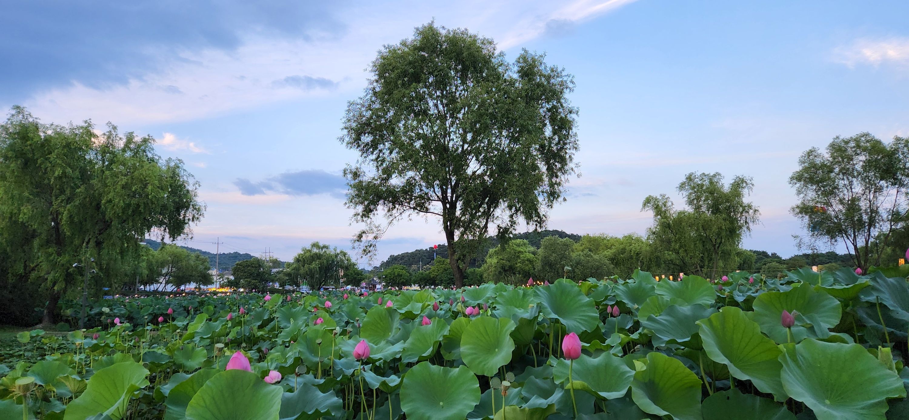 Feel  the spirit of Baekje kingdom and see the beautiful culture