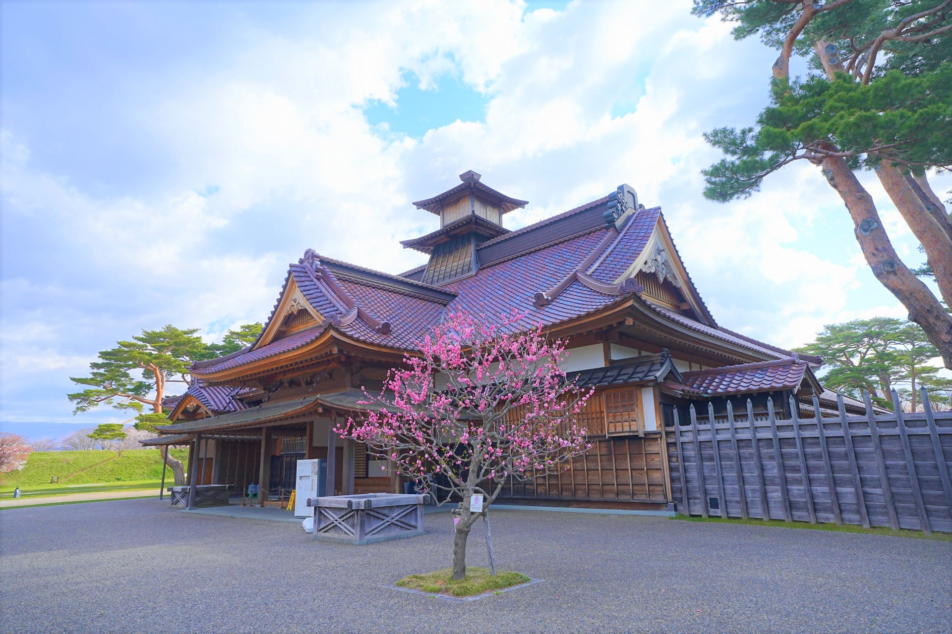 北海道函館2天1夜賞櫻巴士之旅（札幌出發）