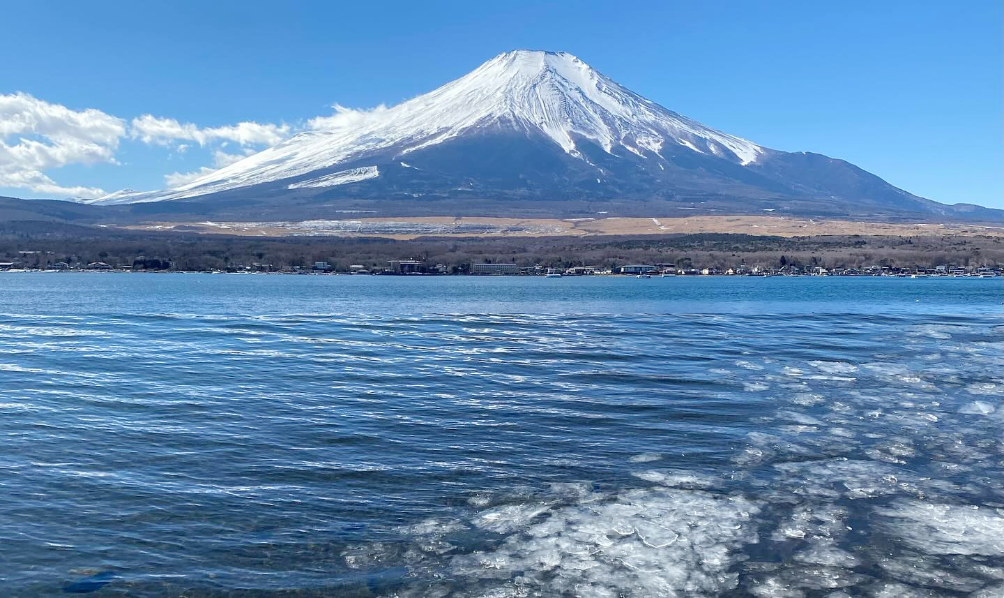富士山美景拍照一日遊｜山中湖喂天鵝&忍野八海&羅森便利店&河口湖大石公園&日川時計店&新倉山淺間公園  (東京出發）