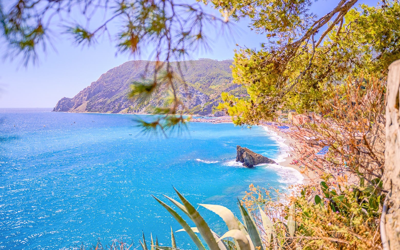 Cinque Terre Tour from Florence with optional Pisa