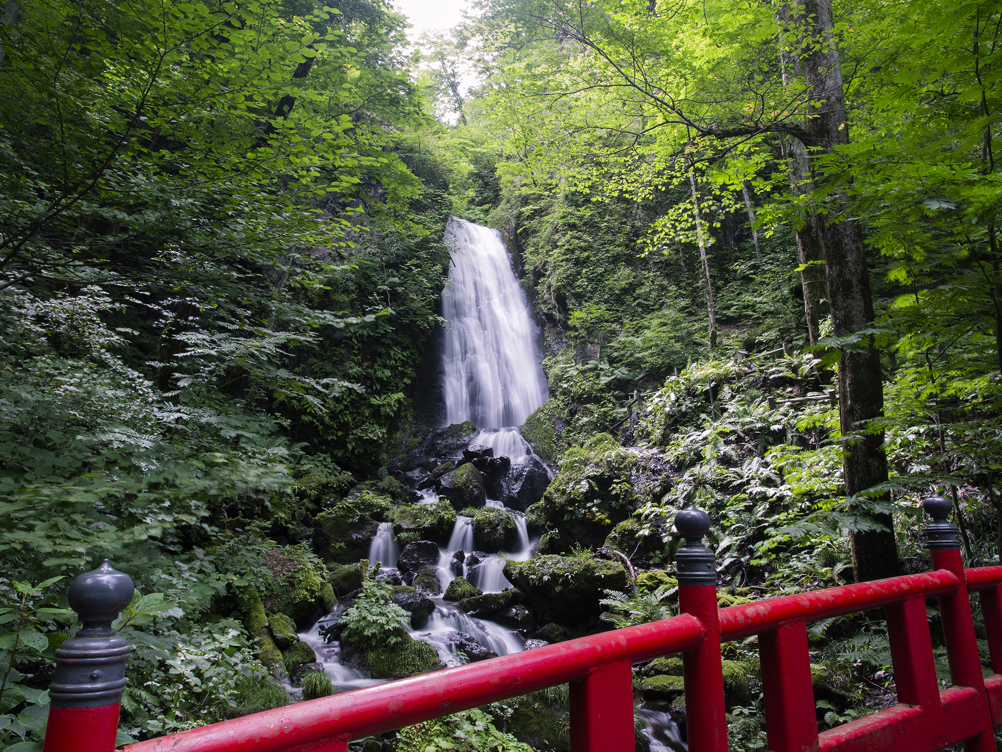 步行前往佐倉松神社,欣賞不動瀑布之美,此瀑布為日本百大瀑布之一。 步行前往佐倉松神社,欣賞不動瀑布之美,此瀑布為日本百大瀑布之一。