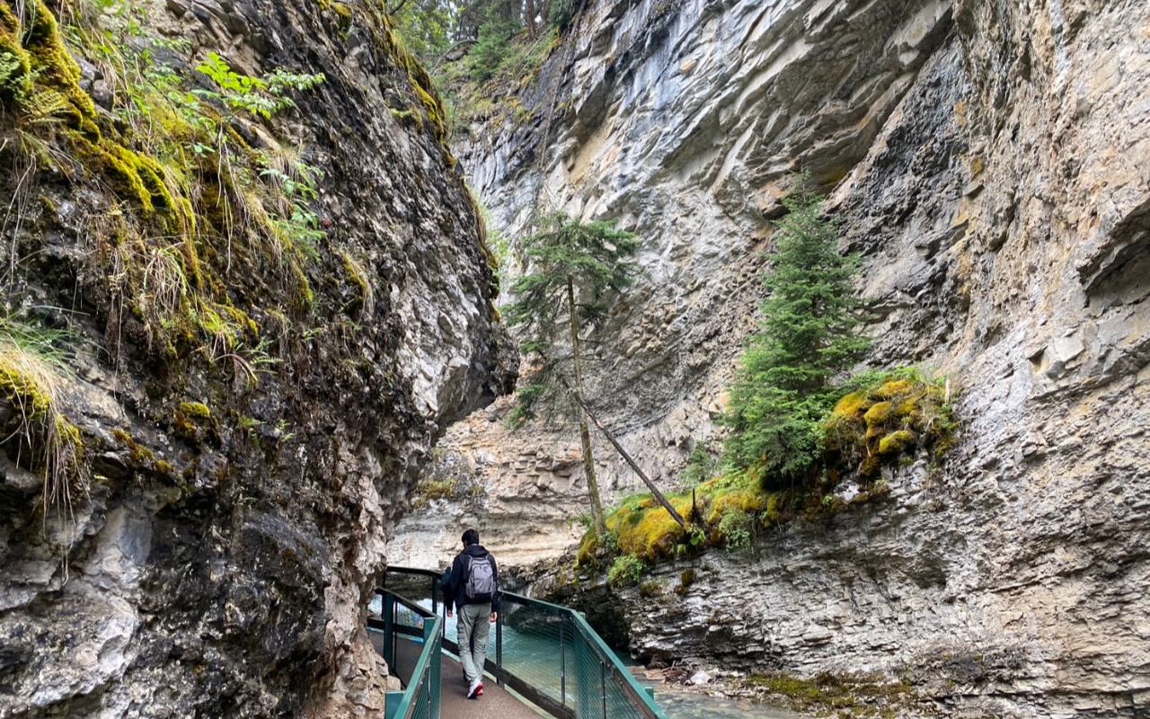 Lake Louise & Johnson Canyon Bus Tour from Canmore or Banff