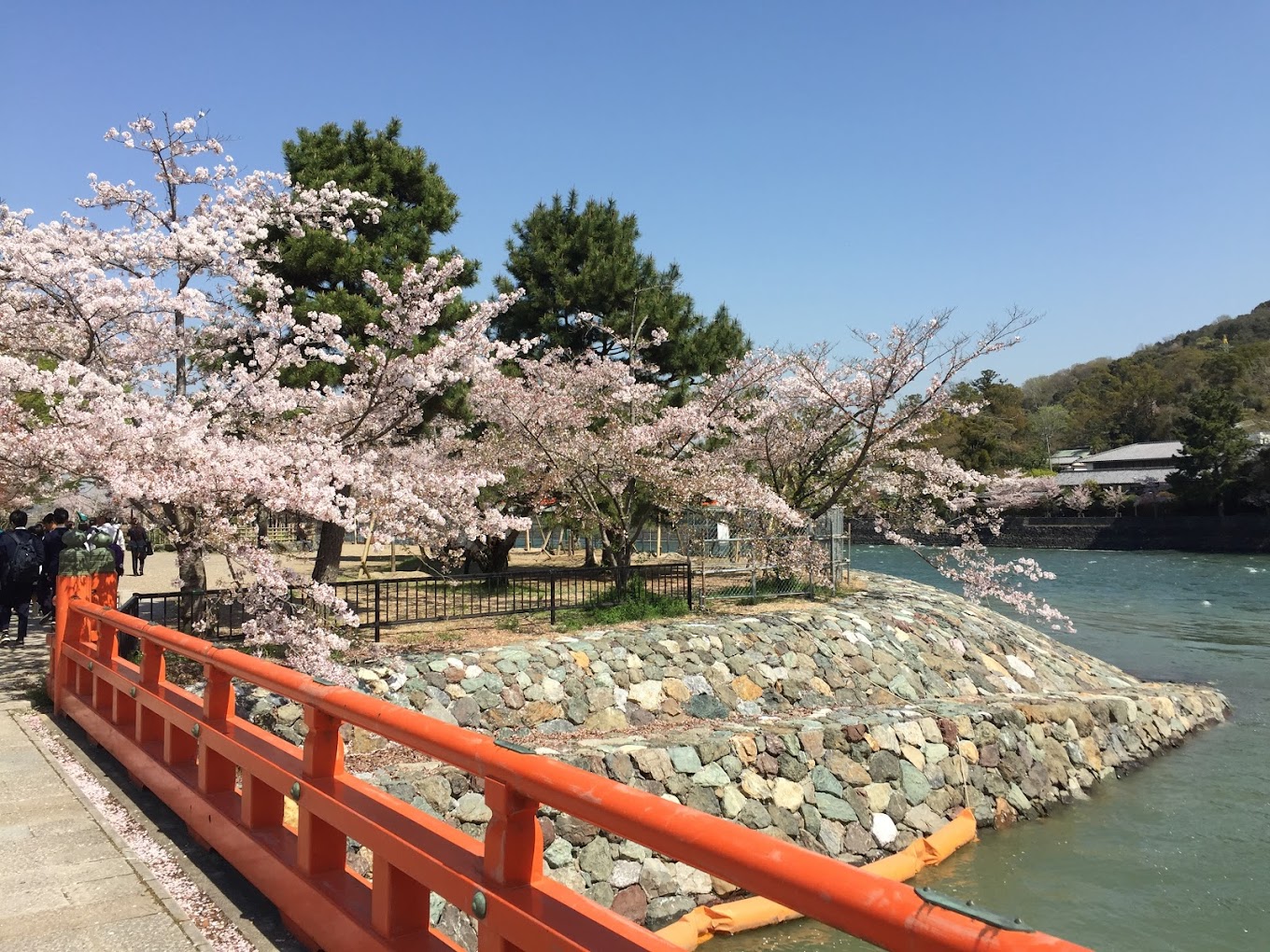 【京都&奈良&宇治一日遊】奈良公園萌鹿&伏見稻荷大社千本鳥居&世界文化遺產東大寺&平等院&宇治抹茶美食街&宇治川&宇治公園&朝霧橋一日遊