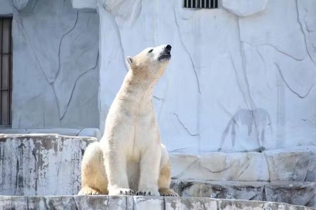 名古屋市東山動植物園 (Nagoya-City Higashiyama Zoo and Botanical Gardens)