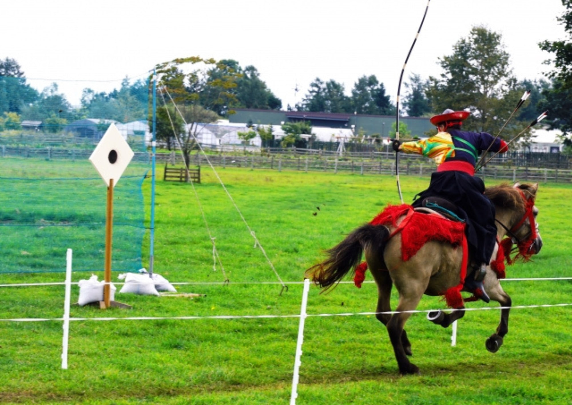 1-Day Kyudo & Mounted Archery Yabusame Experience Tour