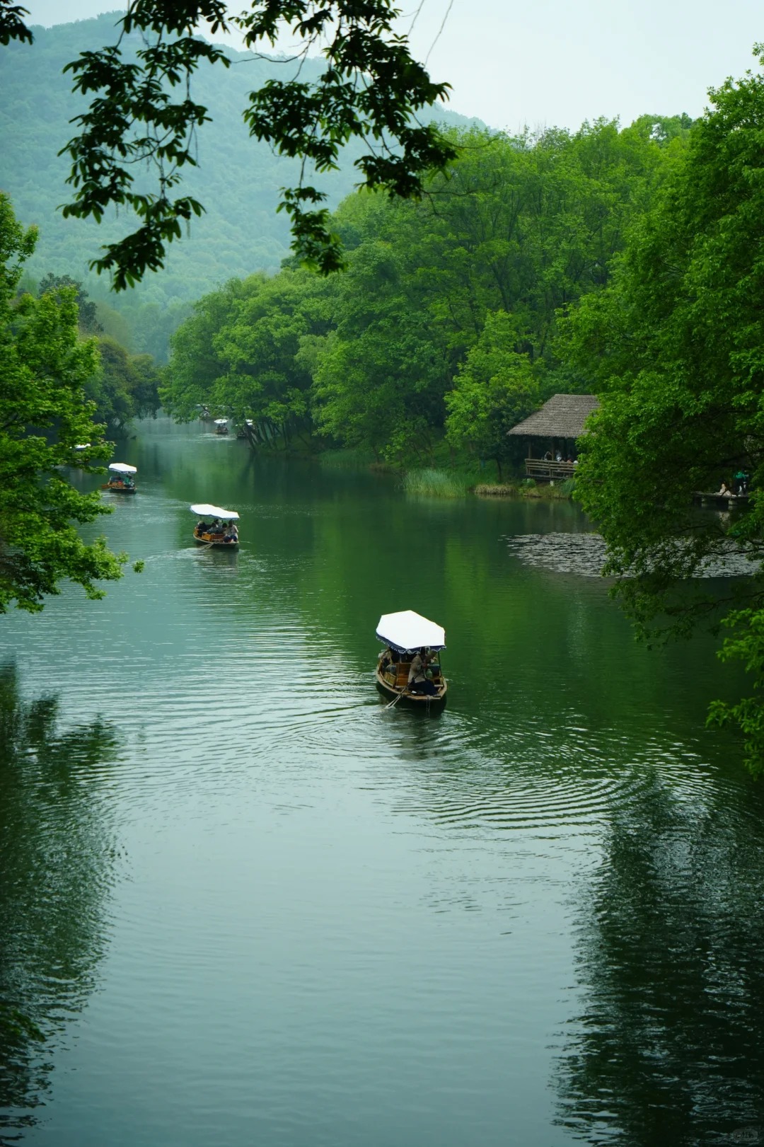杭州西湖畫舫船登島+非遺畫扇體驗經典半日遊（賞三潭印月+花港觀魚+湖畔大學+烏龜潭+狀元坊）