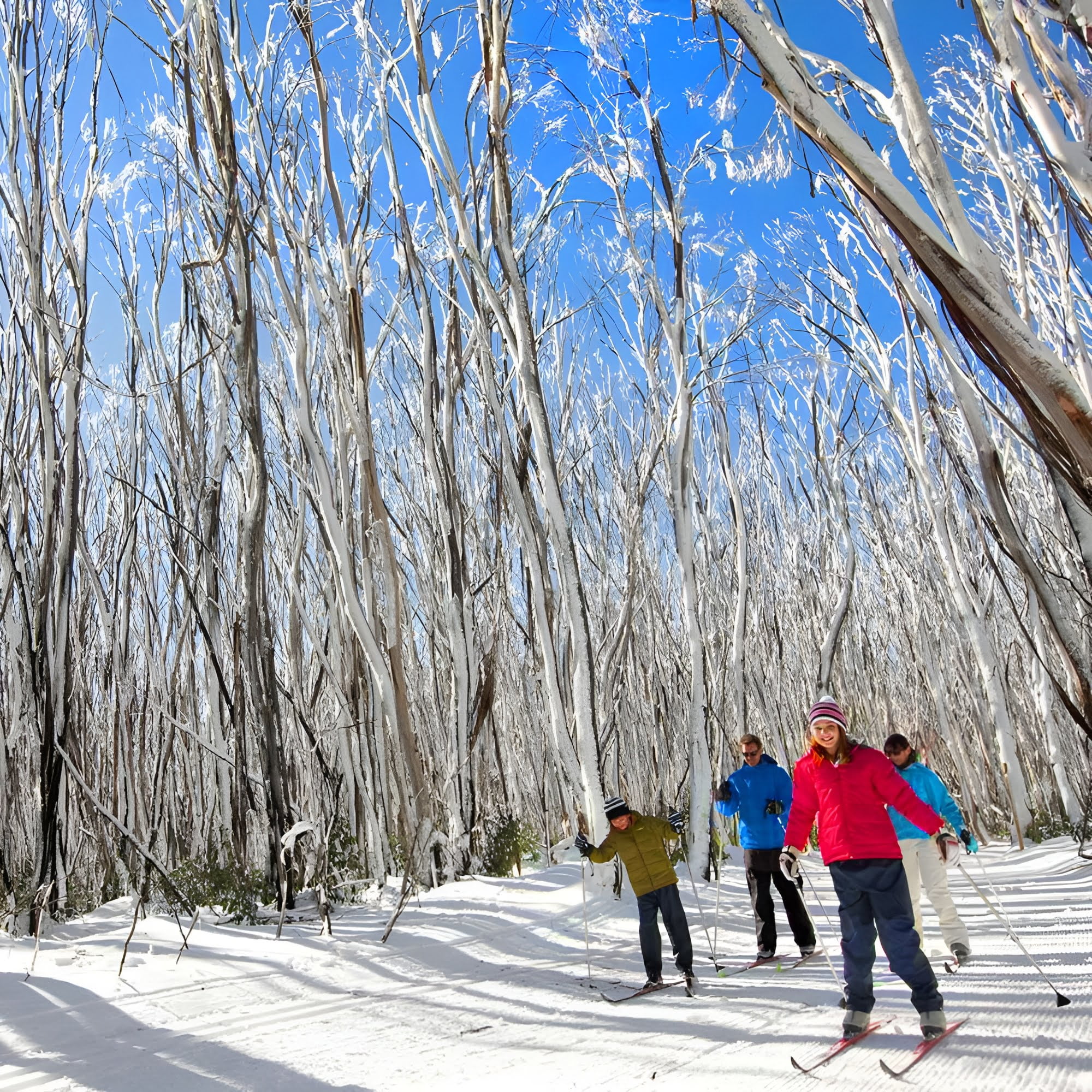 Melbourne: Private Mount Buller Snow & Ski Tours