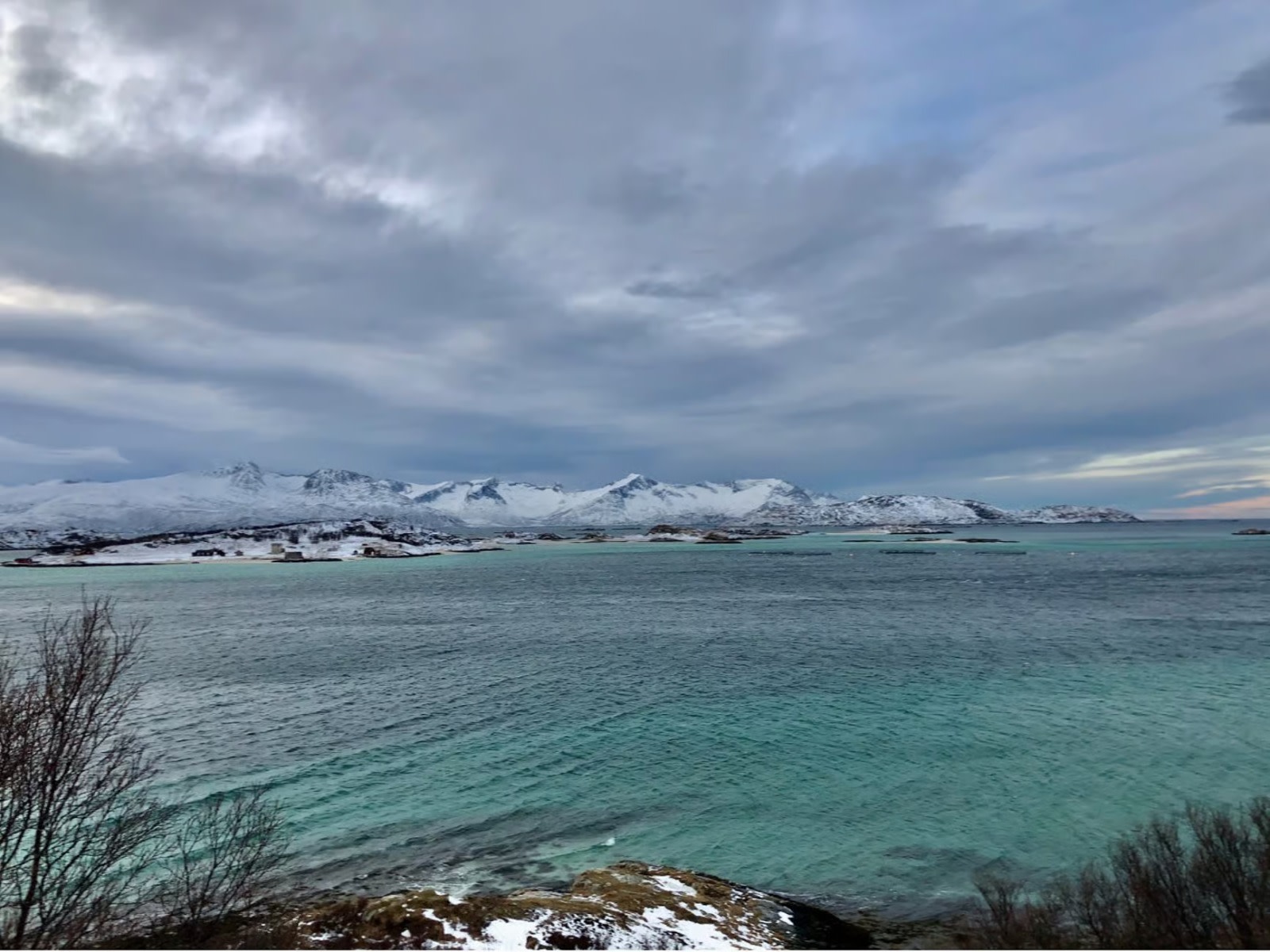 把握機會在北極清澈的碧綠海水中游泳和沐浴。