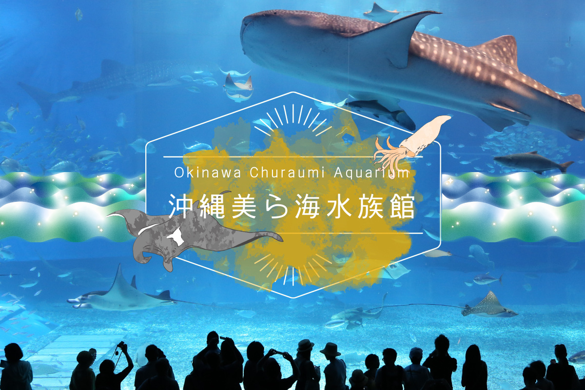 【沖繩最強套票】Fun Pass好好玩通票｜沖繩美麗海水族館+景點+美食