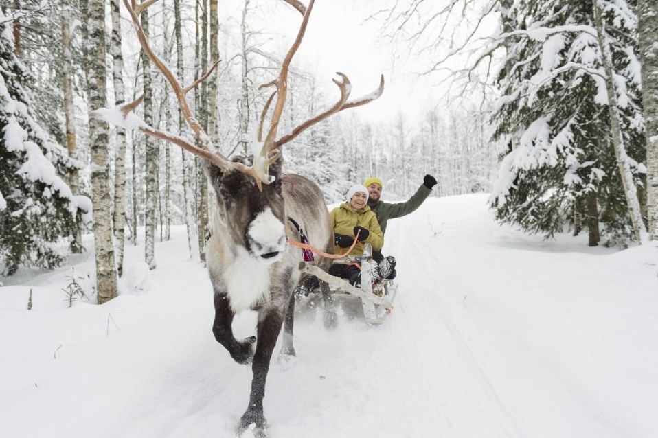 Snowmobile Safari, Reindeer & Husky Sleigh Ride Tour from Rovaniemi