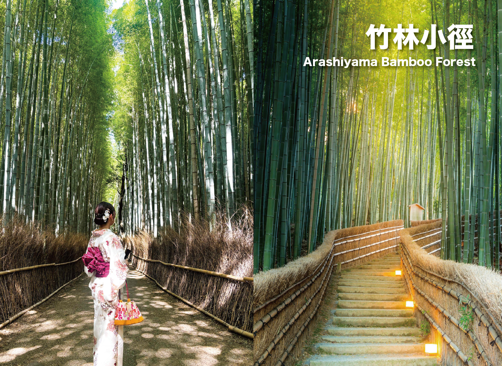 京都經典一日遊丨嵐山&金閣寺&清水寺&伏見稻荷大社（大阪出發）