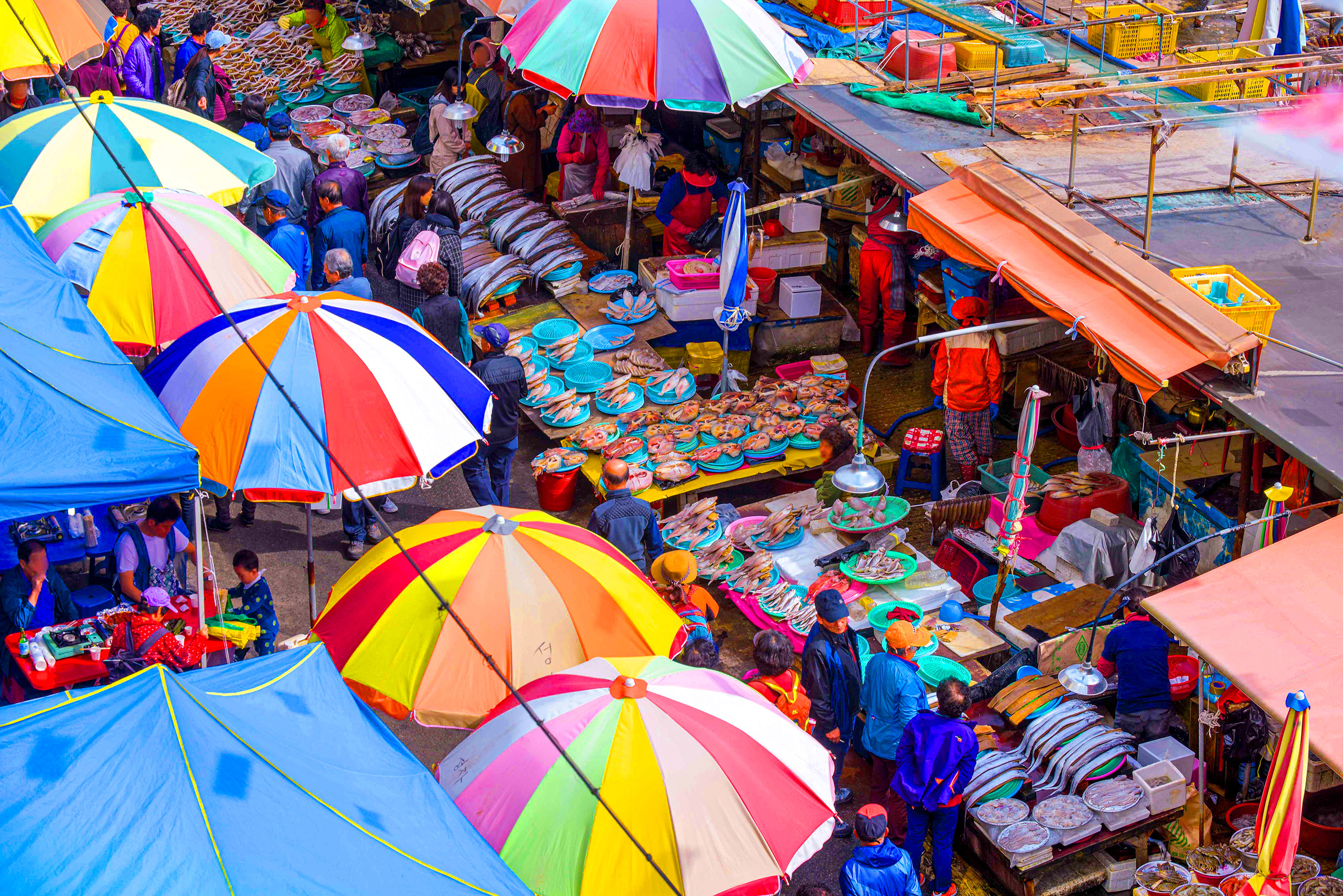Taste Busan’s freshest seafood and enjoy a local culinary experience at Jagalchi Market.