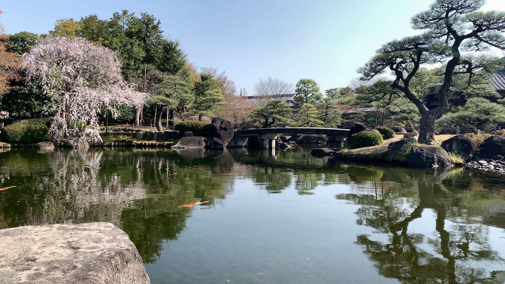 姬路城＆好古園＆灘菊酒造巴士一日遊（京都／大阪出發）