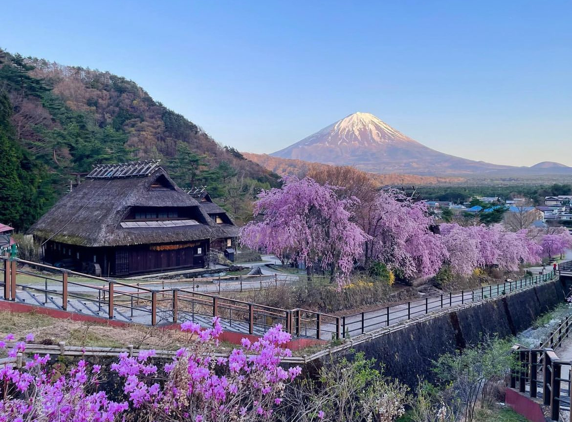 富士山四大名勝景點一日遊（東京出發)