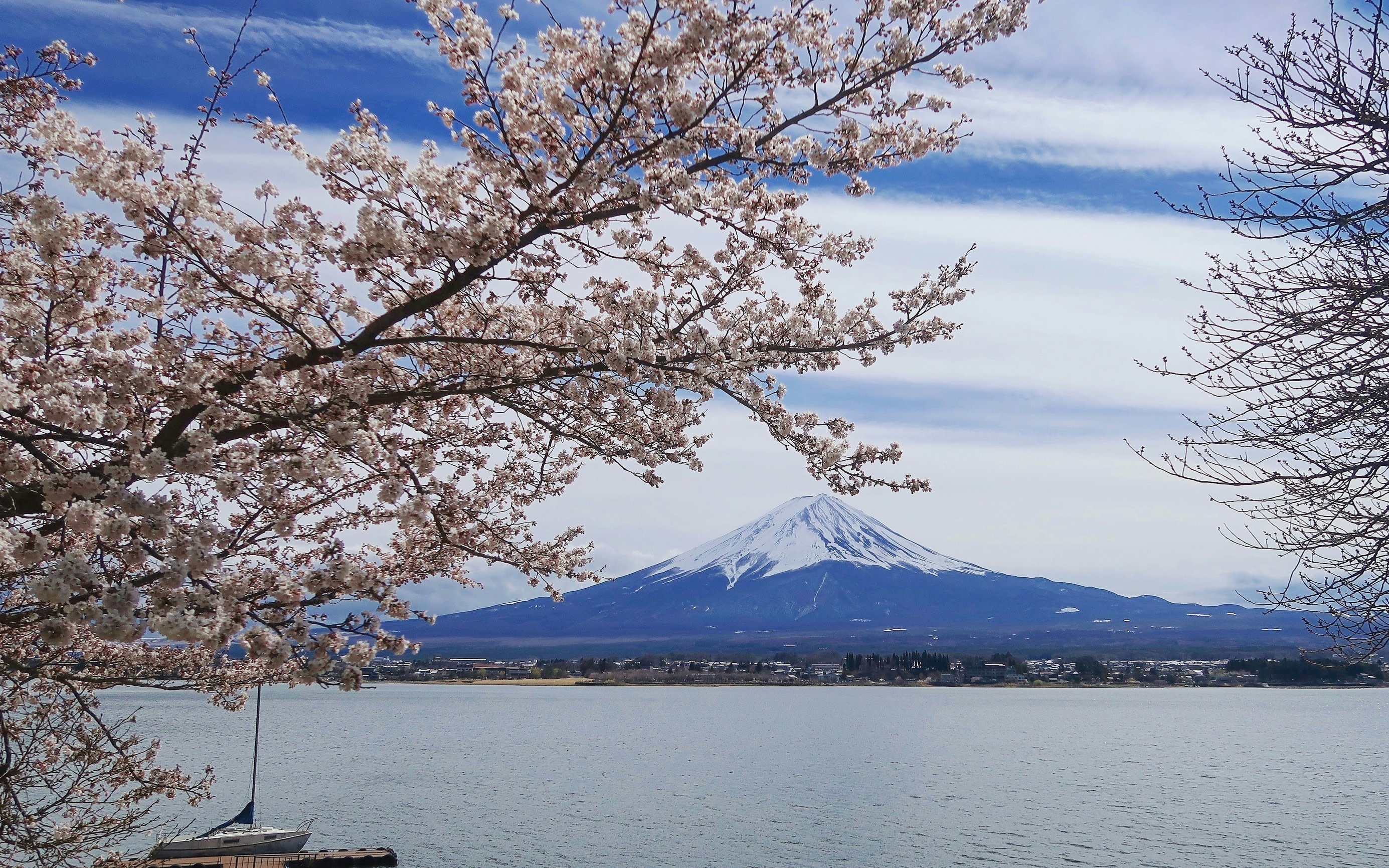 Mount Fuji Full-Day Customizable Private Tour