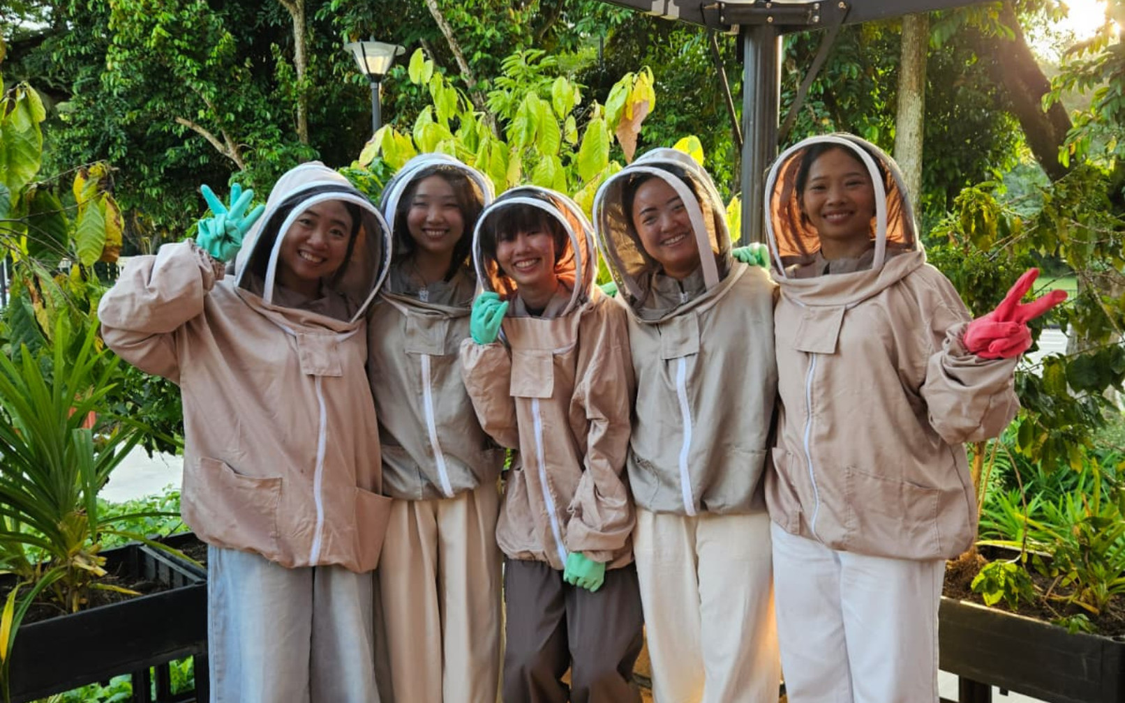 Rooftop Farm Experience at The Sundowner