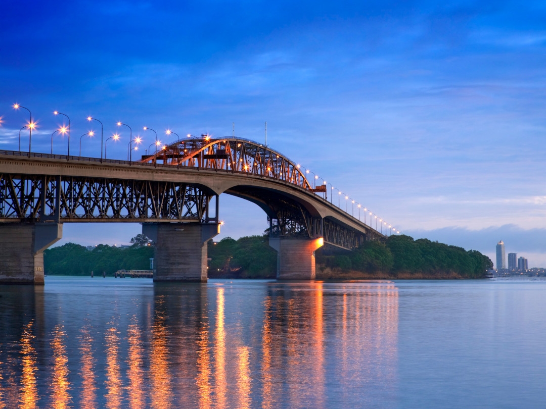 Auckland Farming and City Sights Guided Tour