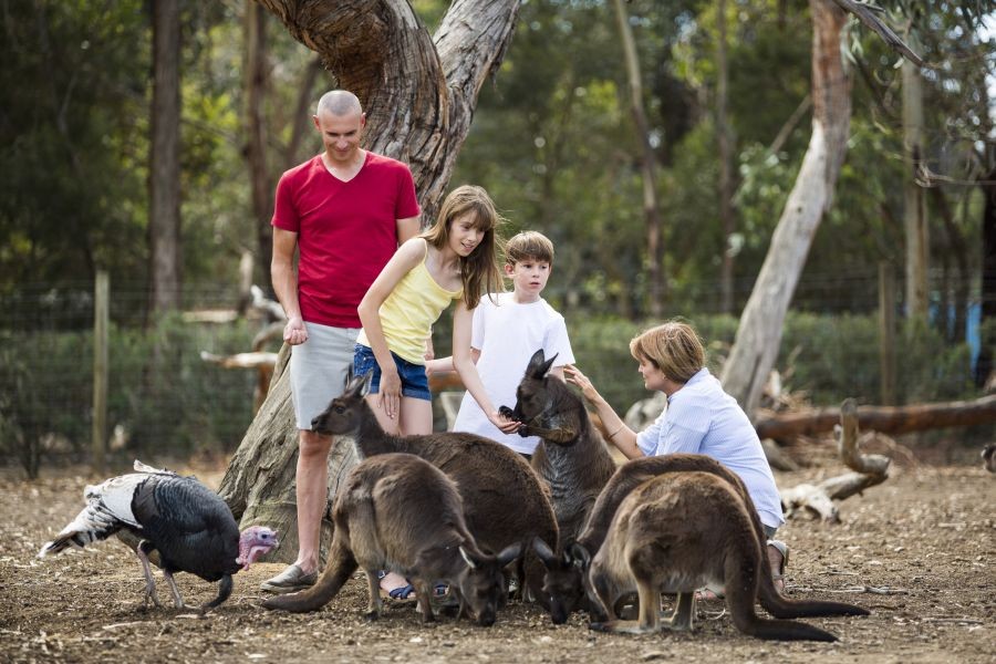 2-Day Ultimate Kangaroo Island Tour from Adelaide