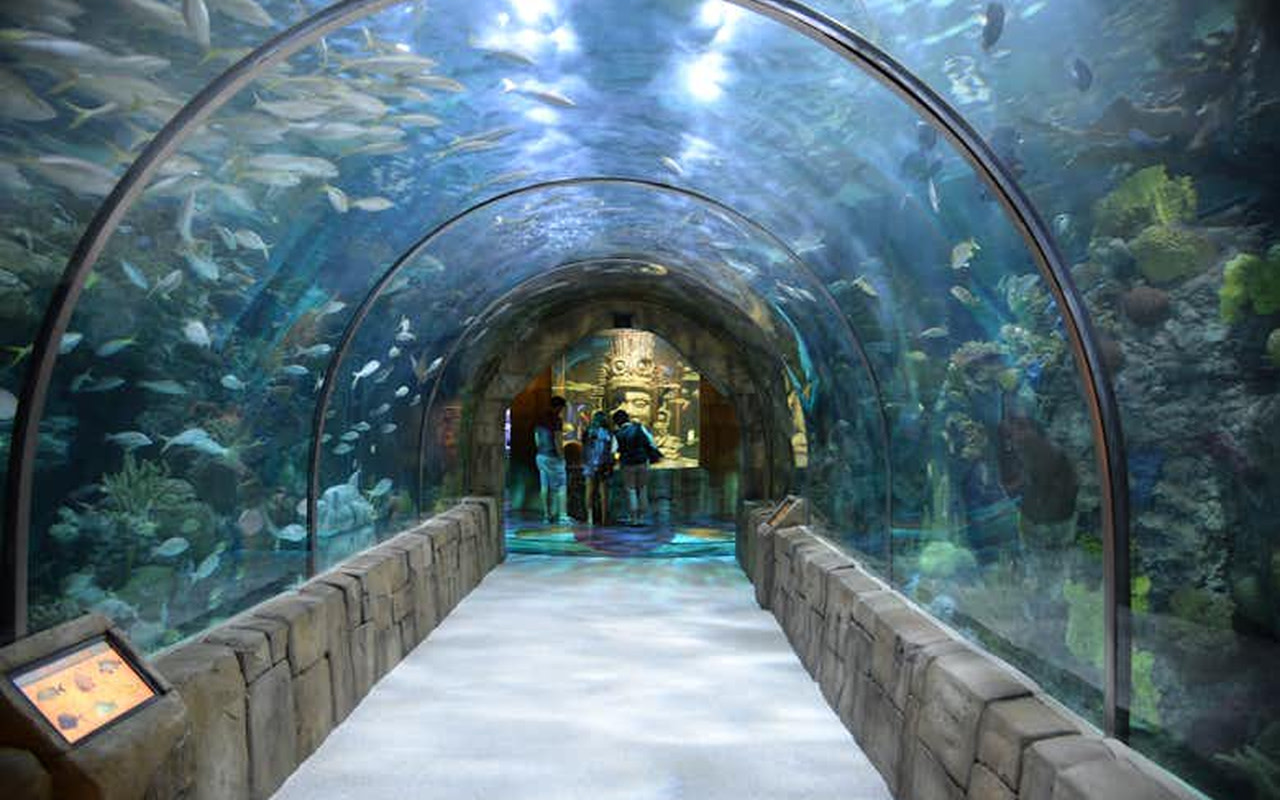 Audubon Aquarium & Insectarium Ticket 