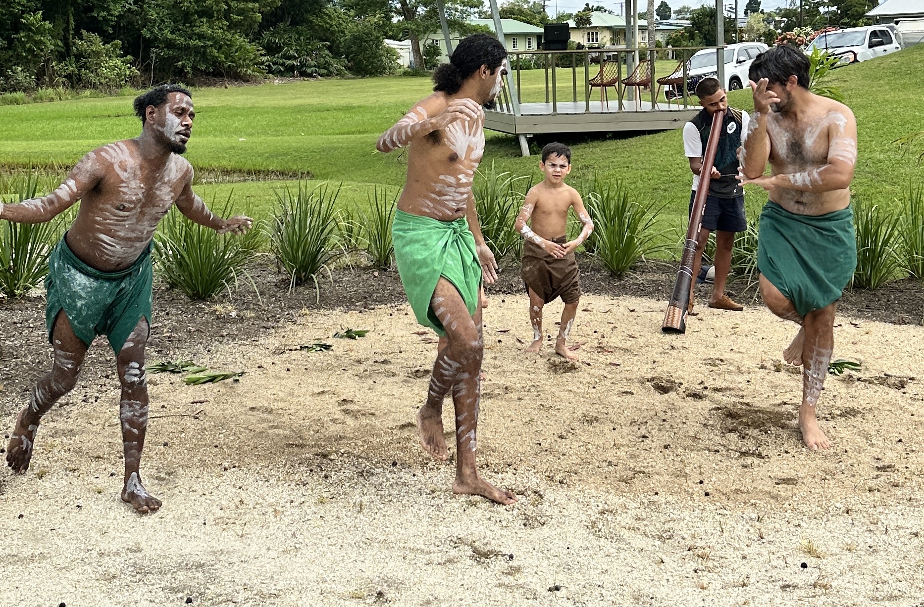 Cassowary Coast Waterfall Culture Tour 