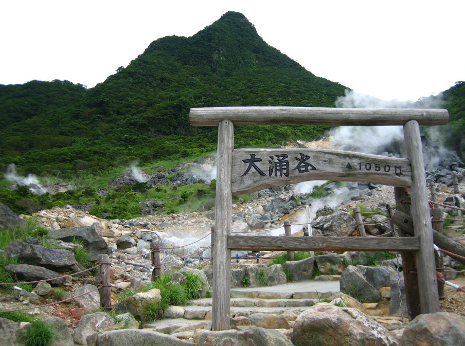 富士山箱根地區｜ 東京飯店接送｜客製化網紅打卡景點一日遊