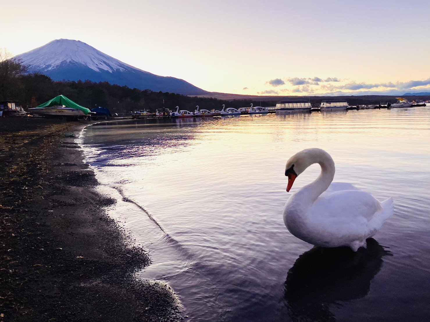 【富士山羅森便利店打卡及雙湖一日遊】 -富士山洞窟鳴澤冰穴, 河口湖，山中湖(上野或新宿出發  午餐可選神戶牛肉涮涮鍋定食)