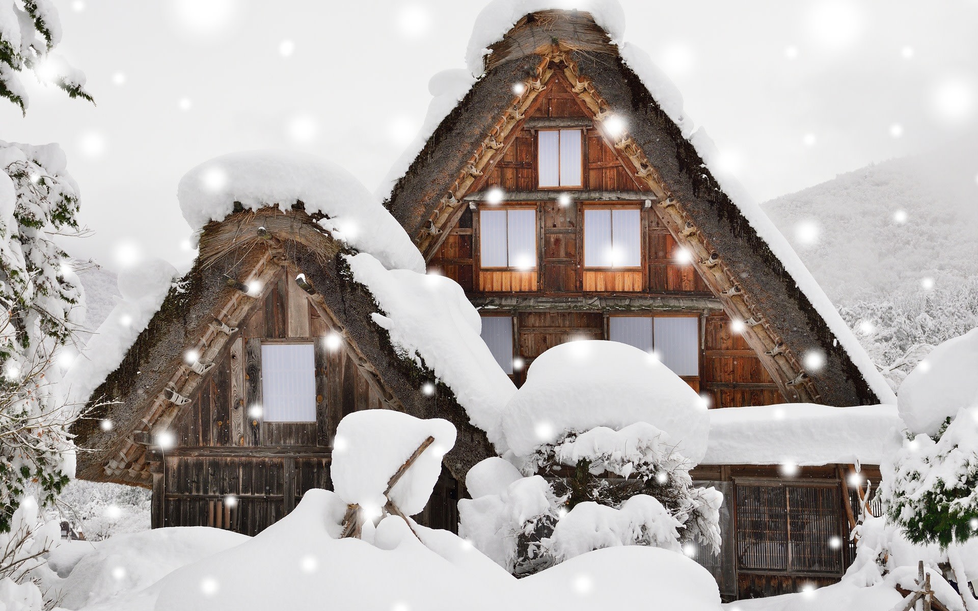 Tokyo: Shirakawa-go & Kenrokuen Garden Multi-Day Group Tour