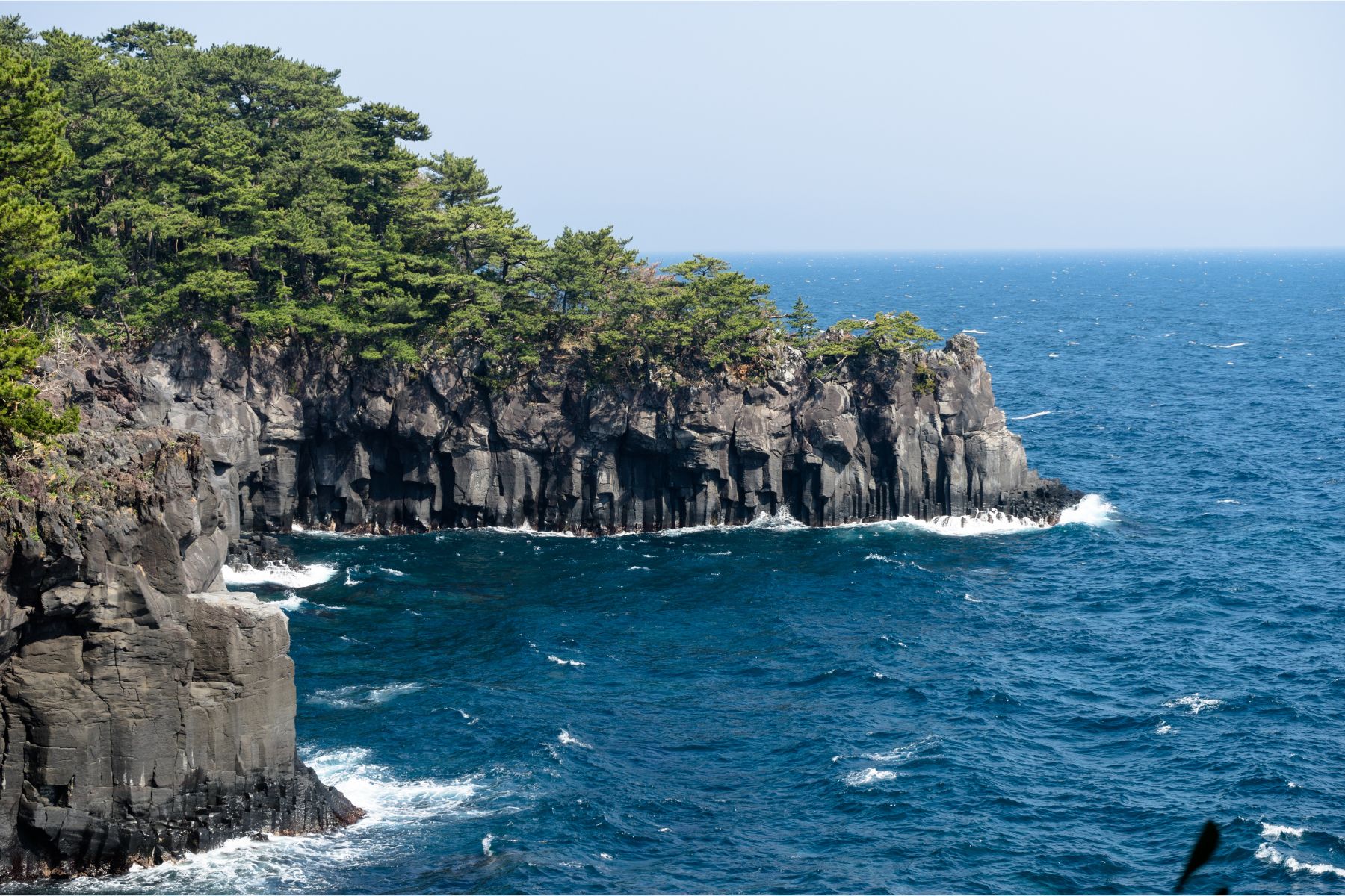 下田公園繡球花祭 & 三島大吊橋 & 大室山纜車 & 修善寺溫泉 & 城崎海岸 & 箱根神社二日遊 (入住觀海絕景露天溫泉酒店)