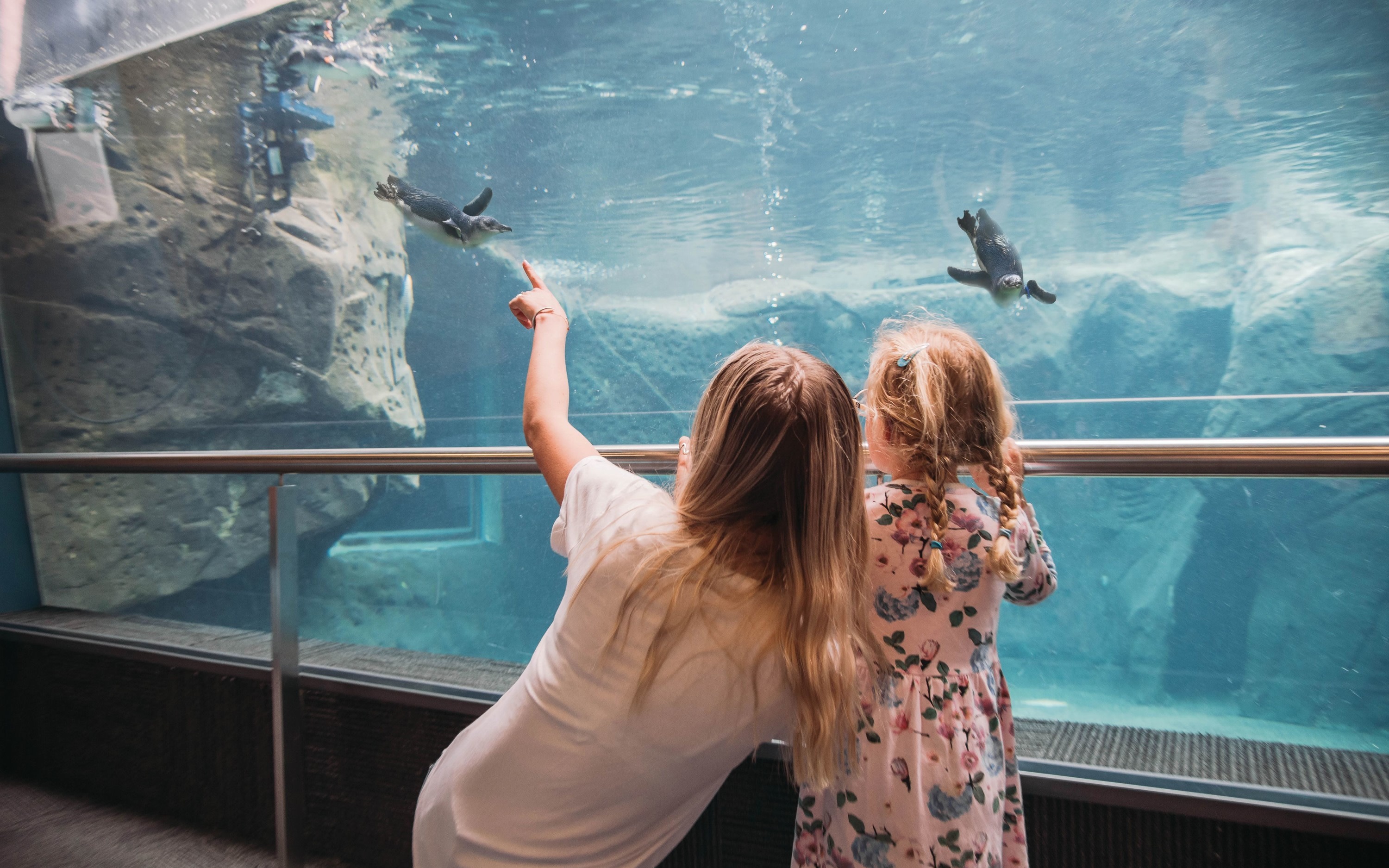 International Antarctic Centre Ticket in Christchurch