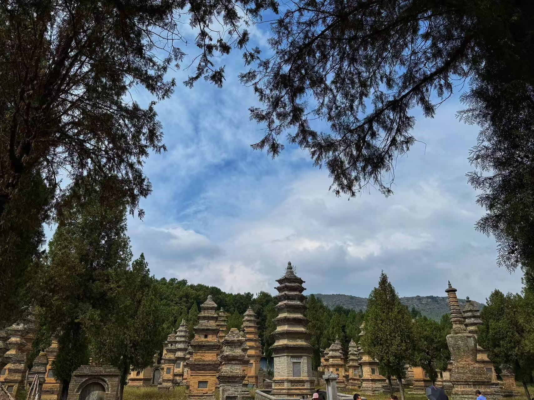 畫面裡是成片的古塔，形態各異、層疊錯落，是歷代高僧的墓塔林。古塔掩映在蒼松翠柏間，背景是澄澈藍天與遠山，滄桑的磚石與生機的林木形成對比，盡顯佛門聖地的肅穆與悠遠