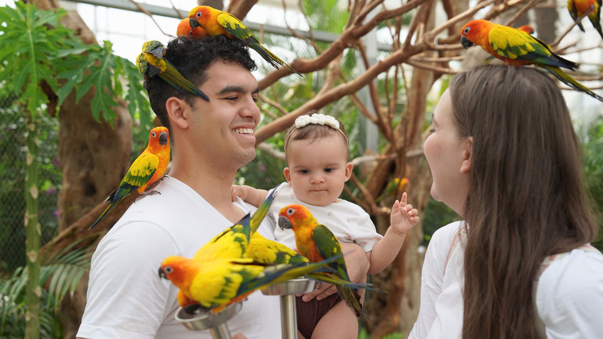 秋海棠鳥園——隱藏在城市中的熱帶寶石!秋海棠鳥園座落於大自然中心,巧妙地融合了植物園和鳥舍,是您輕鬆漫步、闔家出遊或拍出完美Instagram照片的絕佳去處。 秋海棠鳥園——隱藏在城市中的熱帶寶石!秋海棠鳥園座落於大自然中心,巧妙地融合了植物園和鳥舍,是您輕鬆漫步、闔家出遊或拍出完美Instagram照片的絕佳去處。