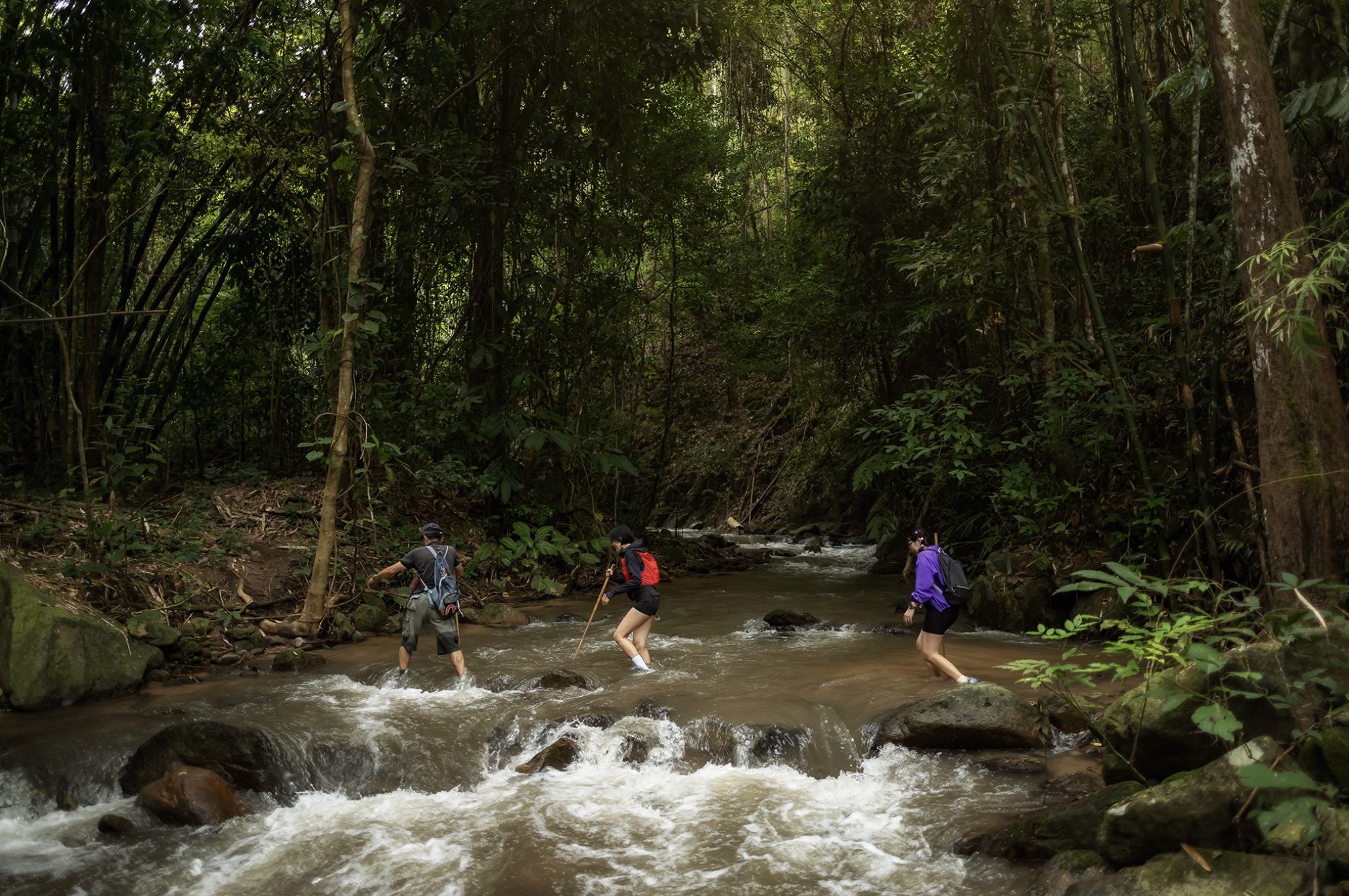 Chiang Mai: Follow the River in Chiang Dao Full Day Hiking