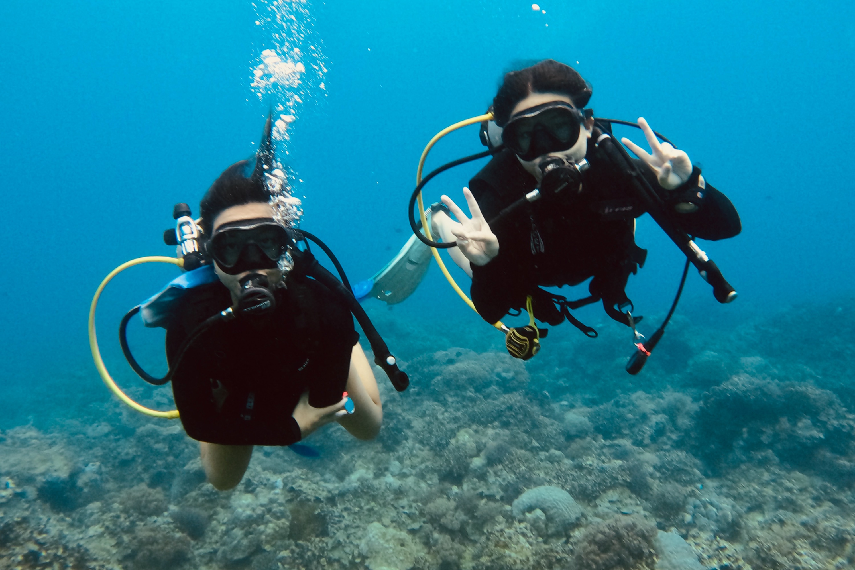 威克德魷魚潛水（Wicked Squid Divers）