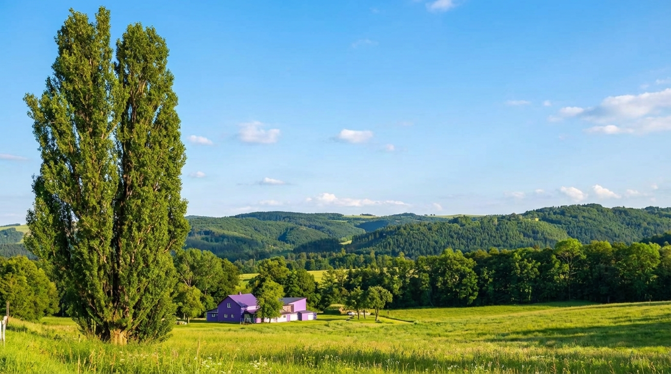 [Chinese & English Guide] Hokkaido Popular Day Trip | Asahiyama Zoo & Biei Internet-Famous Trees & Shirasu Waterfall & Shirogane Blue Pond & Ningle Terrace (Sapporo Departure)